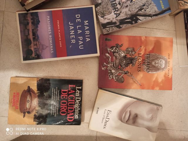 Lote de libros 📚