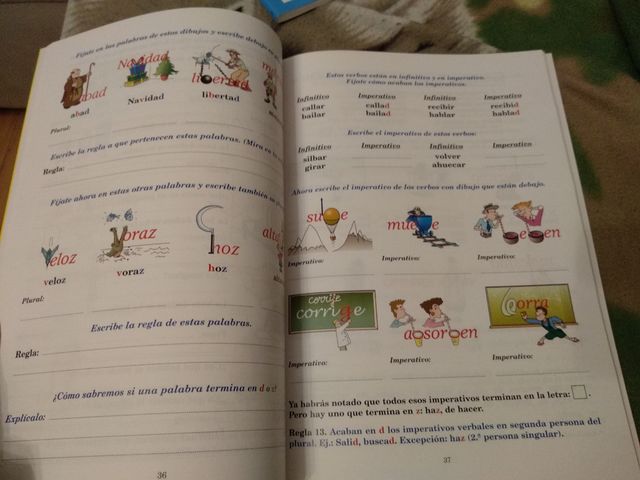 Ortografía ideovisual, nivel 5