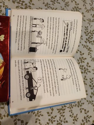 Libro de lectura: diari del Greg