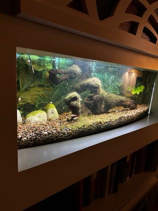 Acuario 110 litros con mueble