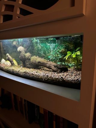 Acuario 110 litros con mueble