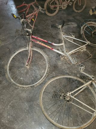 Lote bicicletas antiguas