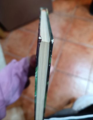 La buena cocina vegetariana 🍳📖 Elisabeth Lange