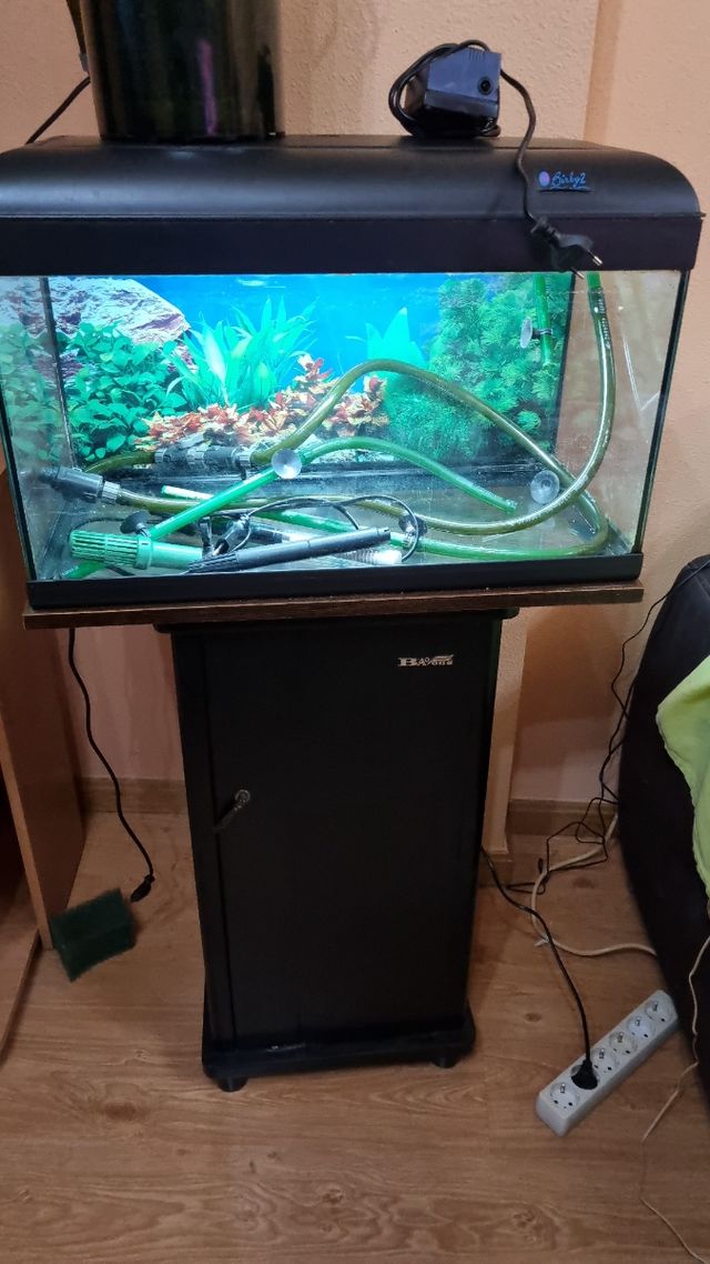 Acquario completo