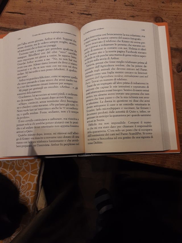 Il caneche attraversola giugla per tornare a cas