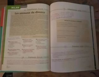 Libro frances Alter Ego B1