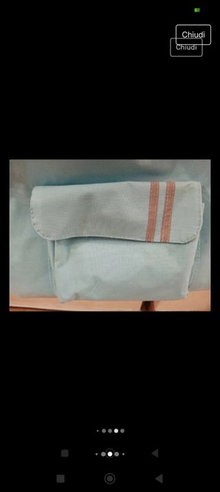 Trasportino cane/ gatto Fortesan