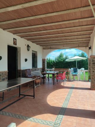 Campo vacaciones y celebraciones en Los Palacios