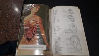 Libro LA MADRE Y EL NIÑO del año 1971