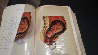 Libro LA MADRE Y EL NIÑO del año 1971