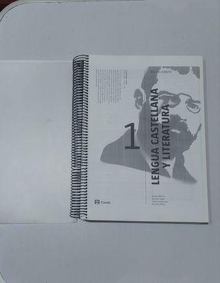 Lengua castellana y literatura