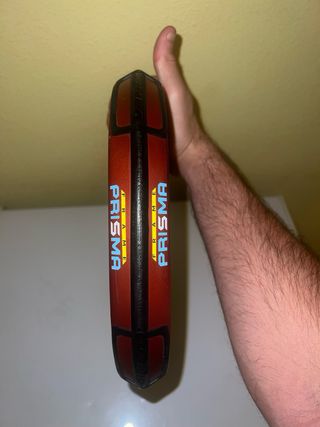 Varlion maxima argentina