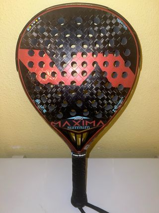 Varlion maxima argentina