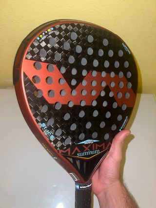 Varlion maxima argentina