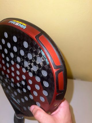 Varlion maxima argentina