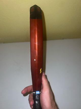 Varlion maxima argentina