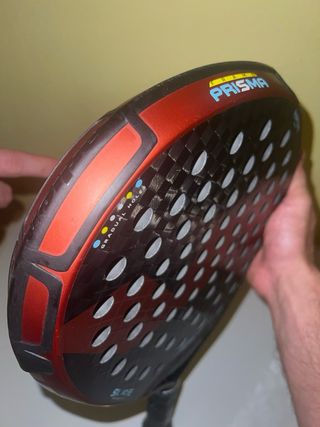 Varlion maxima argentina