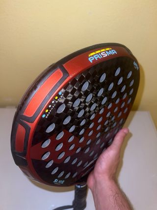 Varlion maxima argentina