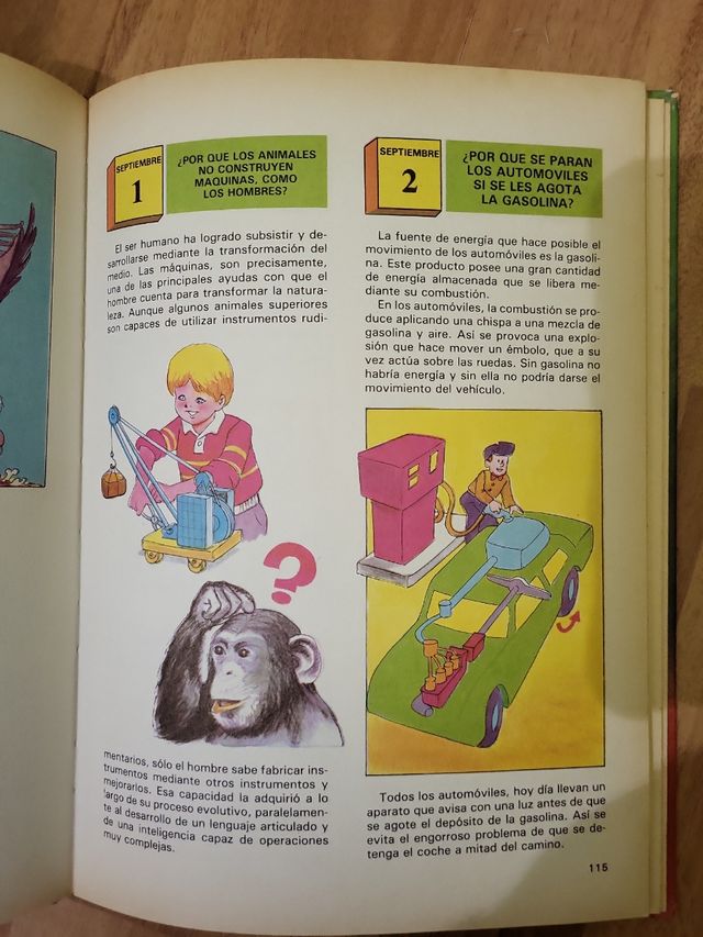 Una pregunta para cada día