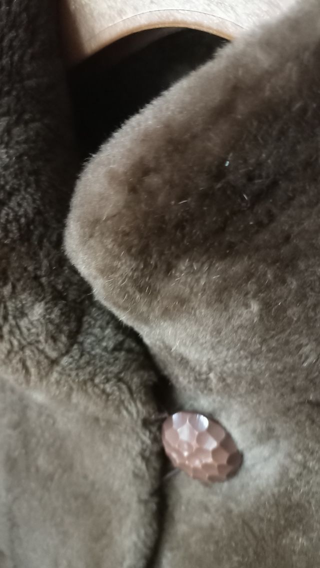 Pelliccia Castorino vero