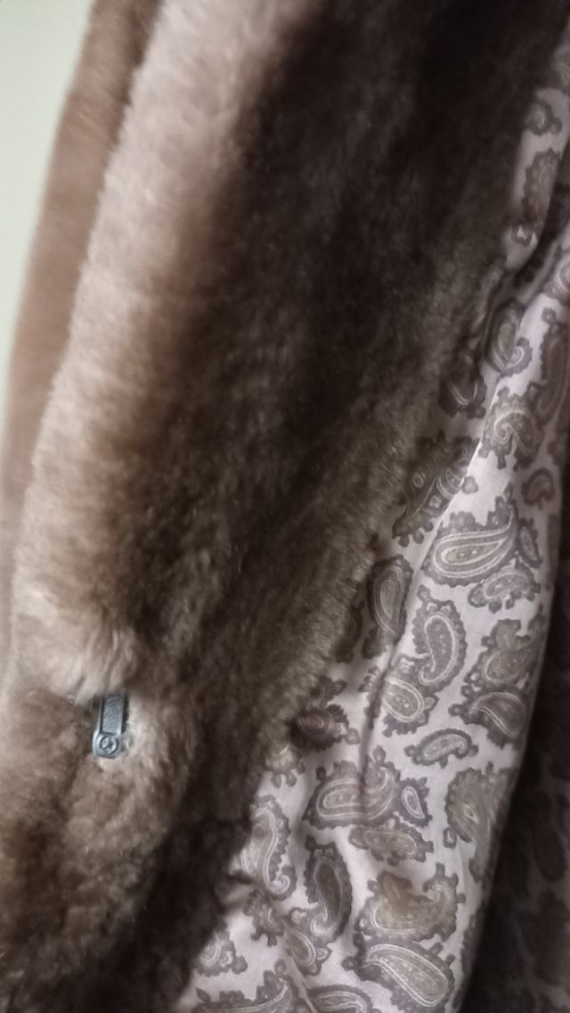 Pelliccia Castorino vero