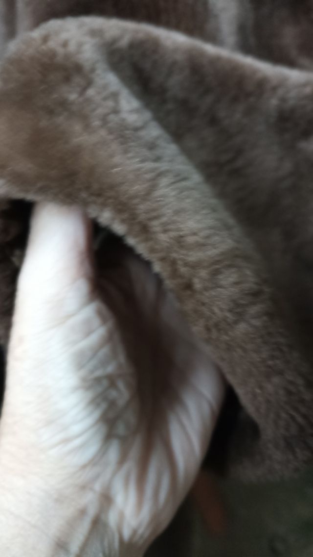 Pelliccia Castorino vero