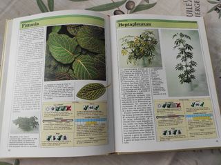 Libros de Plantas