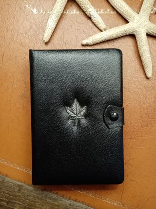 Monete Canadesi 1981