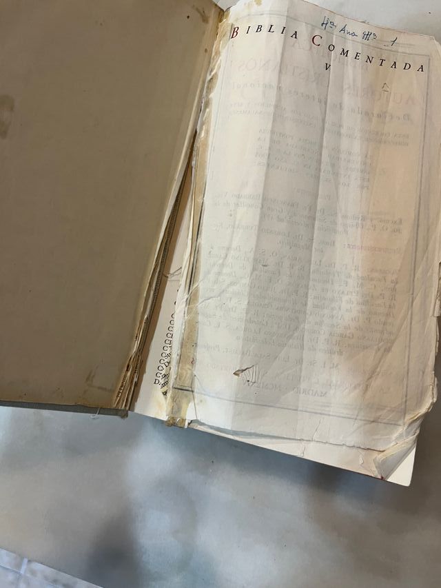 Biblia comentada bac