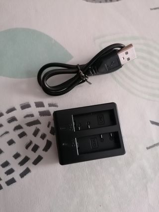 Cargador baterias PG1050