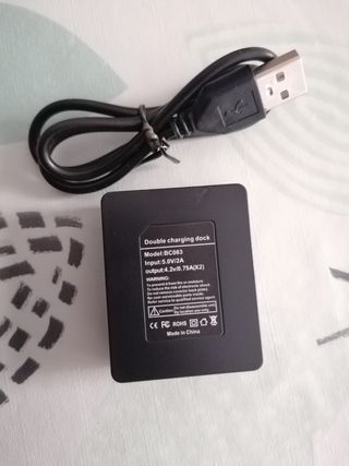 Cargador baterias PG1050