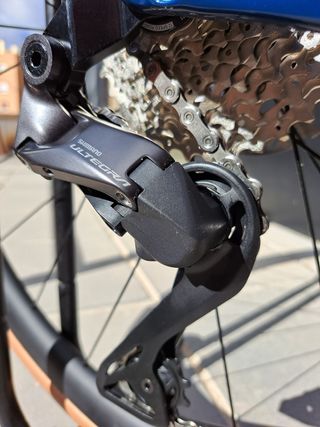 BH SL1 (Project One Reyna)