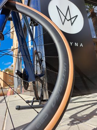 BH SL1 (Project One Reyna)