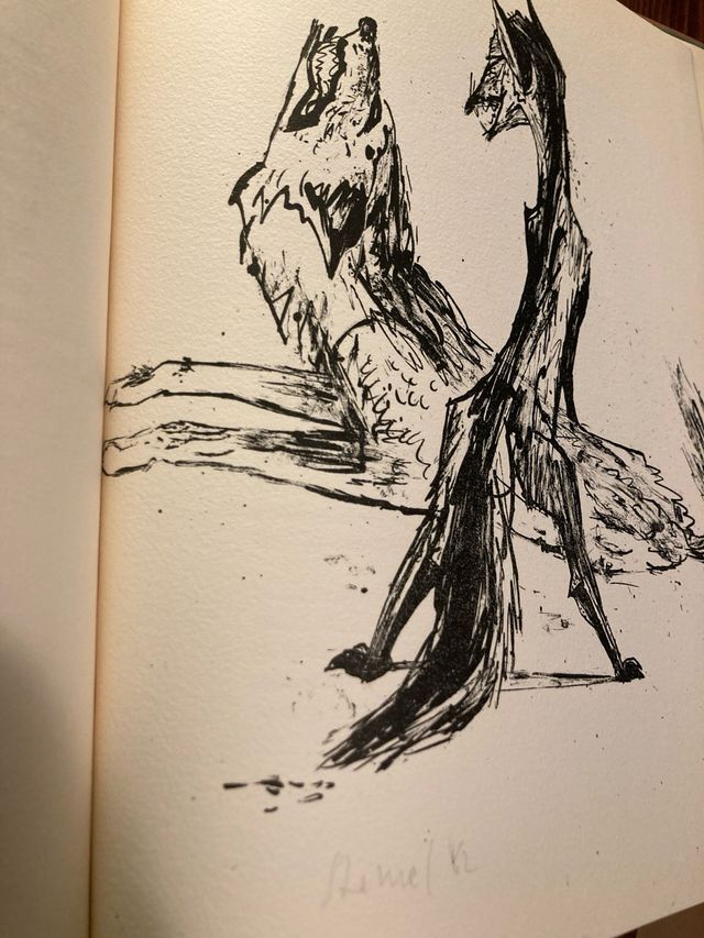 Libro Goethe Steinel: Reineke Fuchs in 12 Gesängen