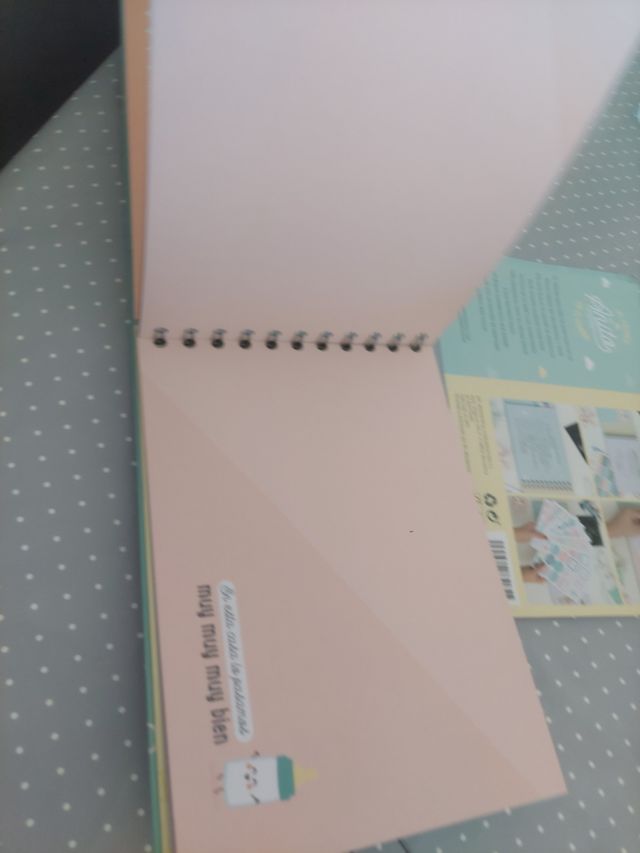 Libro mi primer añito