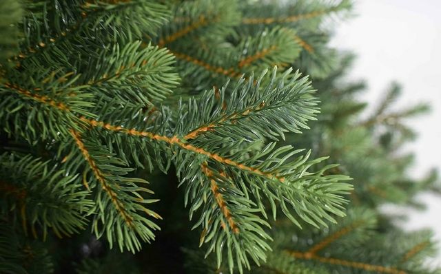 Albero di Natale realistico 180 cm