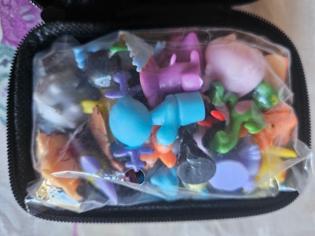 Estuche + 24 pokemon