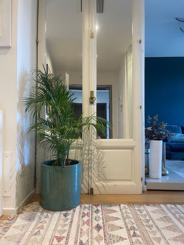 Espejo de ventanas clásicas