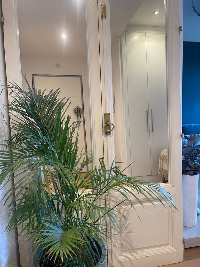 Espejo de ventanas clásicas