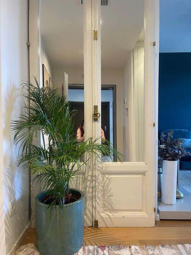 Espejo de ventanas clásicas