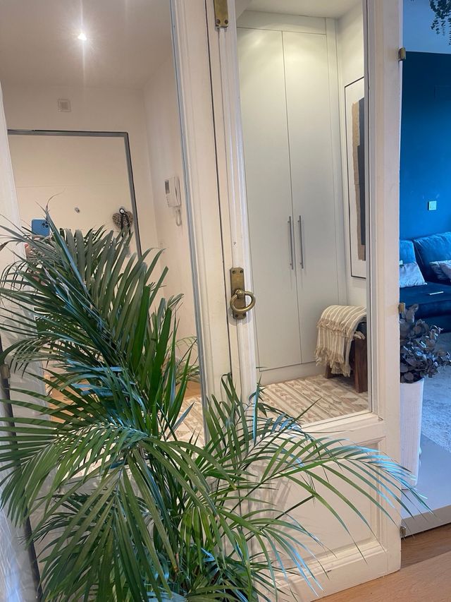 Espejo de ventanas clásicas