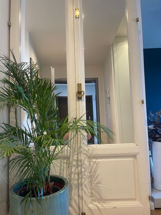 Espejo de ventanas clásicas