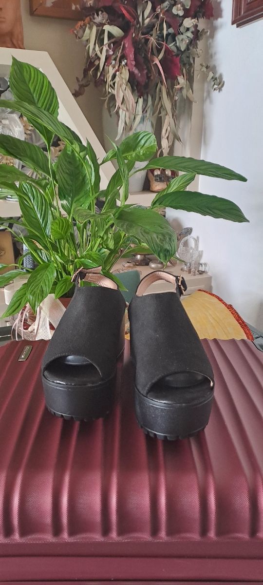 Zapatos mujer talla 38