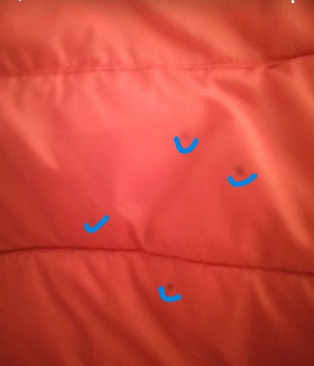 Giubbino donna - Chaqueta acolchada ligera