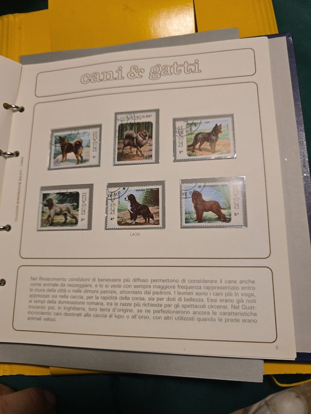 Collezione francobolli Cani e Gatti