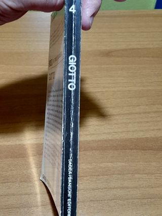 LIBRO I DIAMANTI DELL'ARTE 4 GIOTTO