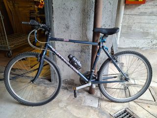 Mountain bike Bottecchia Americas 500