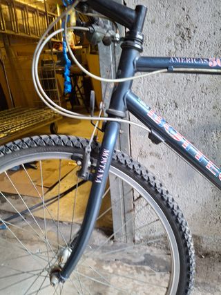 Mountain bike Bottecchia Americas 500