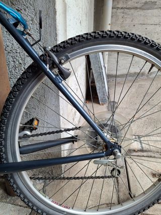 Mountain bike Bottecchia Americas 500