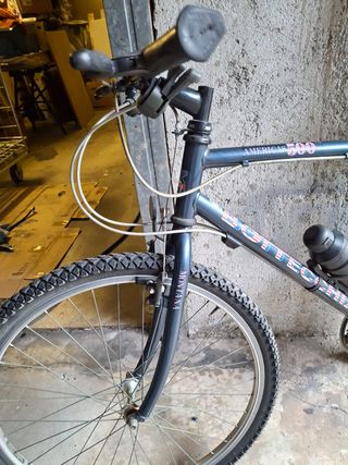 Mountain bike Bottecchia Americas 500